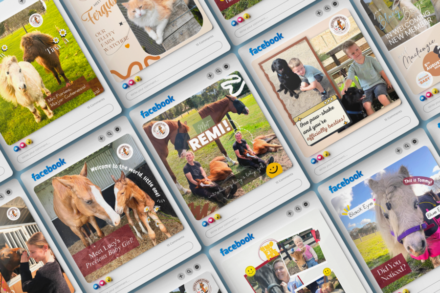 Little Farm Plays branding and social media work, project cover