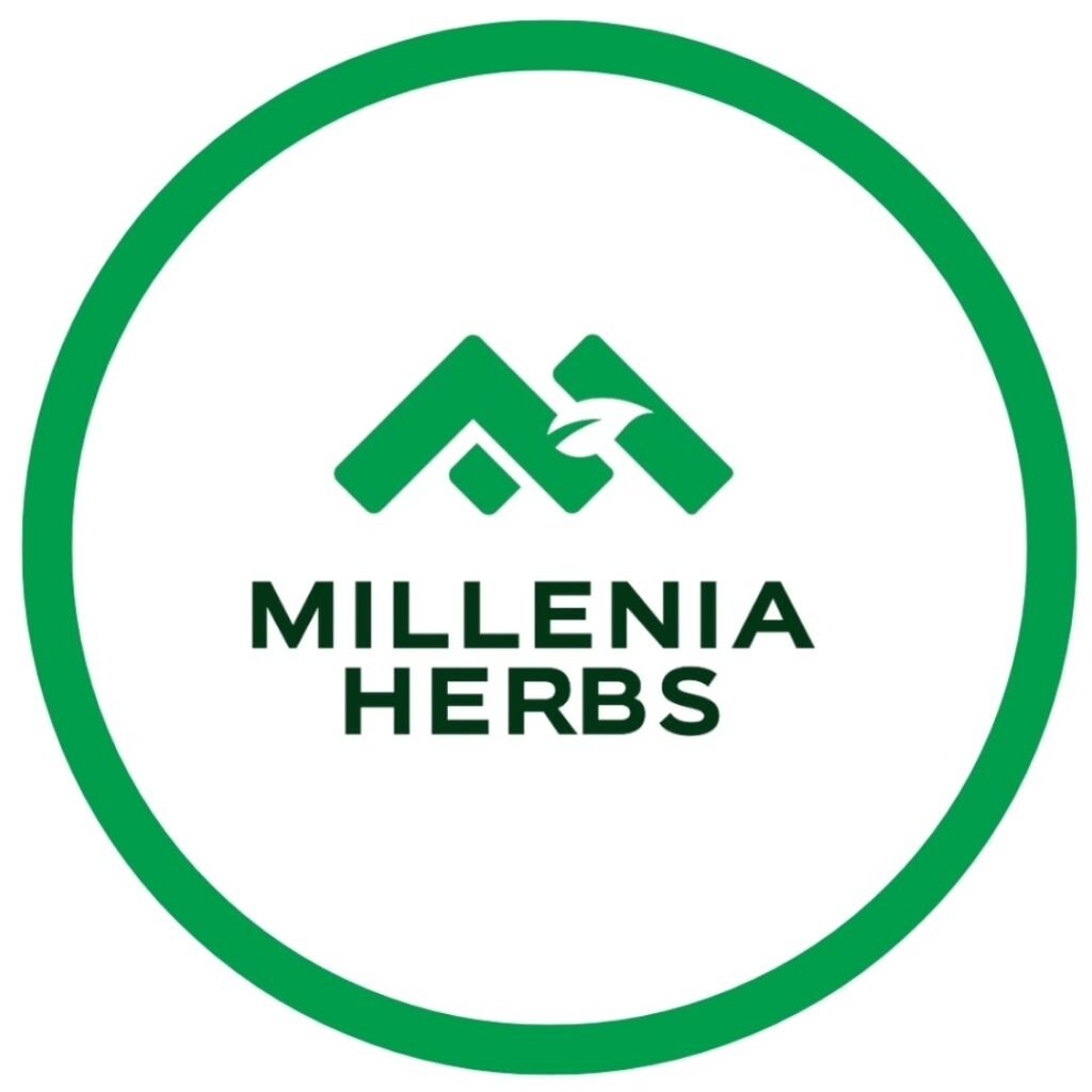 440752232_461867533190058_1148020778057238829_n